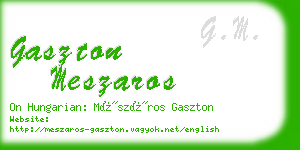 gaszton meszaros business card